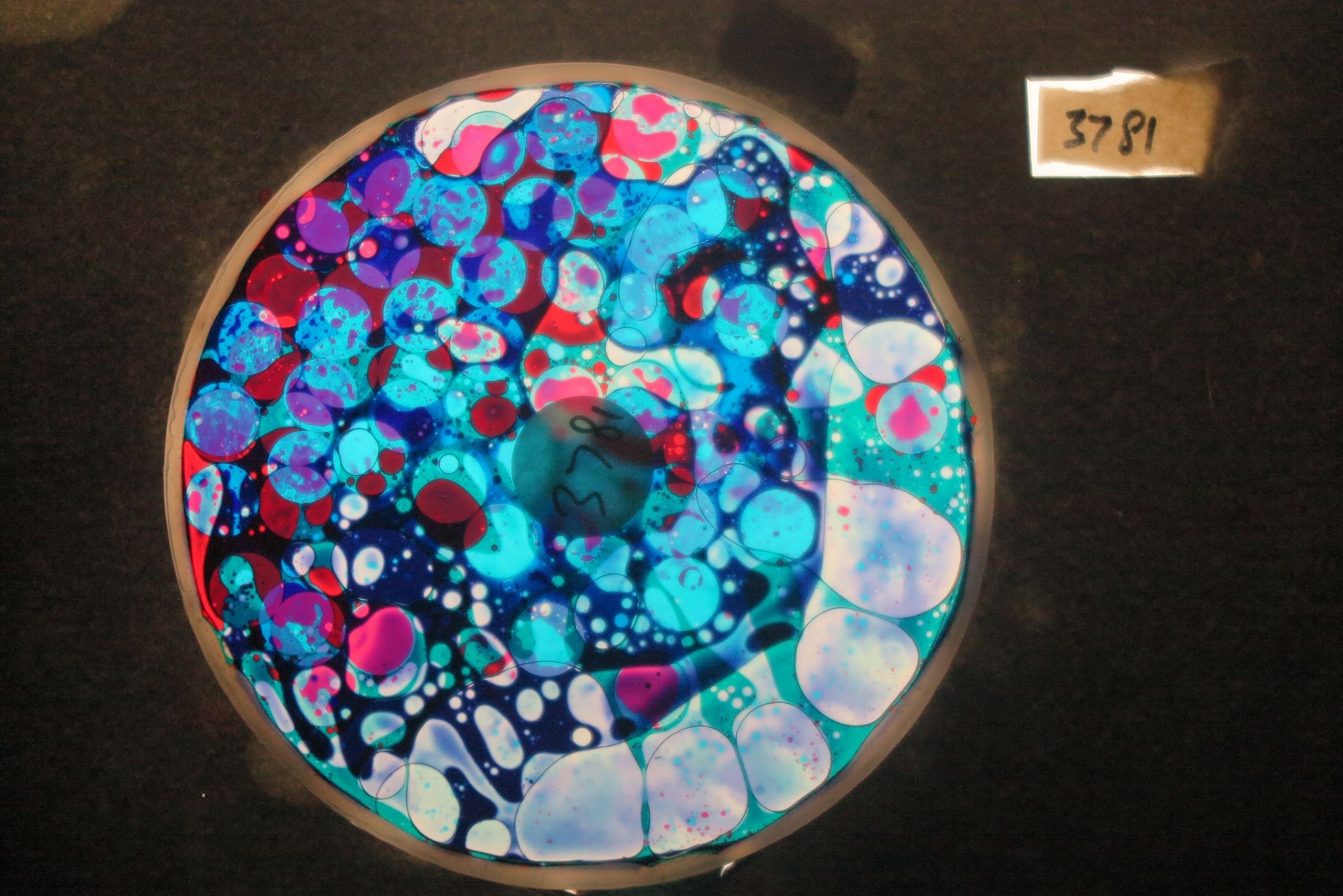 BV3781 bubble vision oil wheel